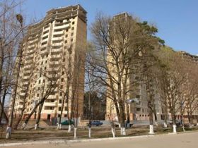 Обложка объекта "Лесная корона"