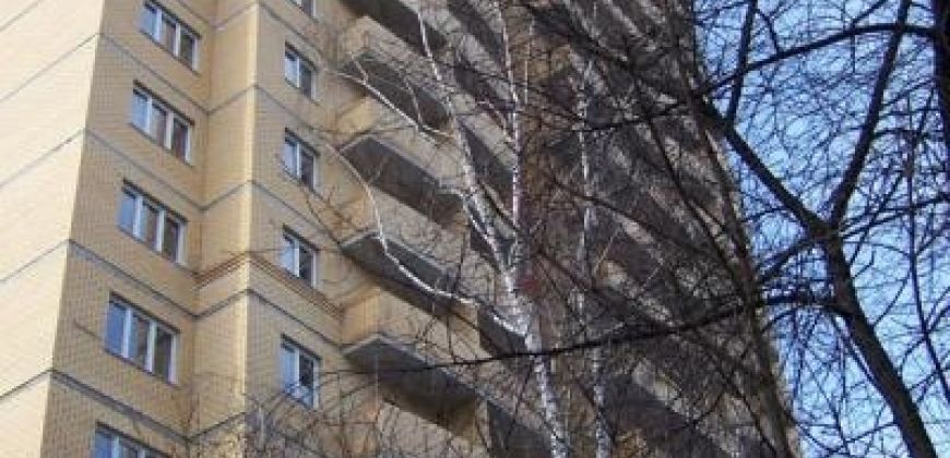 Так выглядит Жилой комплекс Новая звезда - #567241223