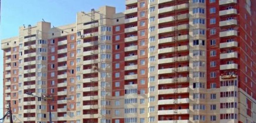 Так выглядит  Айлант - #1971708164