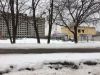  Жилой комплекс Березовая аллея — фото строительства от 20 марта 2017 г., понедельник - #1801600836